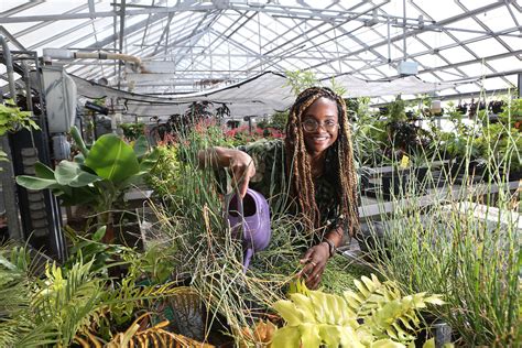 plantae jobs|plant jobs for women.